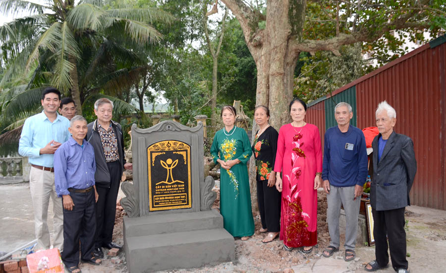 Ninh[-]Bình[-]đón[-]Bằng[-]công[-]nhận[-]Cây[-]Di[-]sản[-]Việt[-]Nam[-]vào[-]dịp[-]Lễ[-]Hội[-]Đại[-]đoàn[-]kết[-]các[-]dân[-]tộc[-]Việt[-]Nam